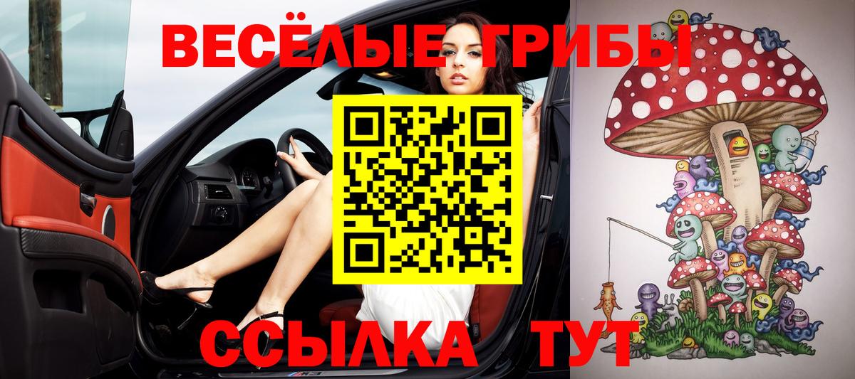 Тольятти  Галлюциногенные грибы MAGIC MUSHROOMS  купить наркоту  Псилоцибиновые грибы Magic Shrooms  Вход с VPN 